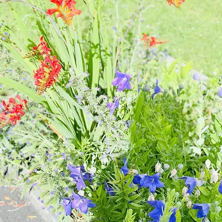 Family Lakeside Mountain Views