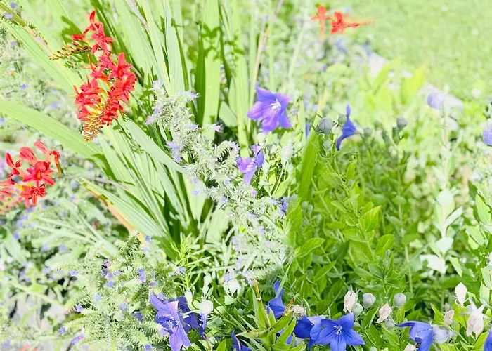 Family Lakeside Mountain Views